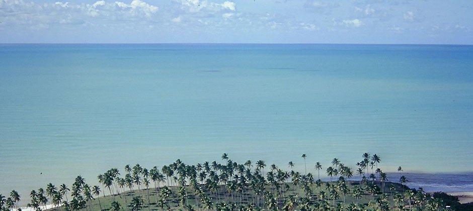 940-sud-palmbeach.jpg