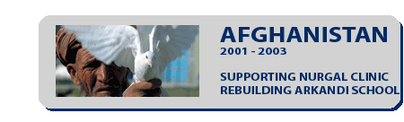 450-arrow-afg.gif