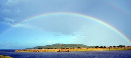 450-rainbow.jpg